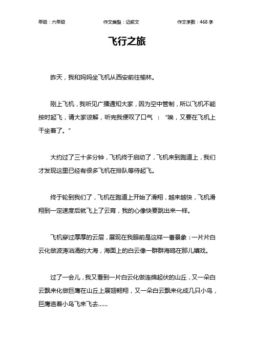 飞行之旅作文【小学六年级500字】