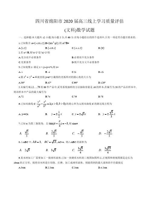 四川省绵阳市2020届高三线上学习质量评估(文科)数学试题(word版含答案)