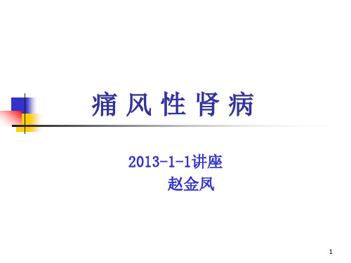 痛风性肾病护理查房PPT参考课件
