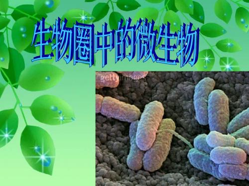 复习微生物(病毒、细菌、真菌)课件