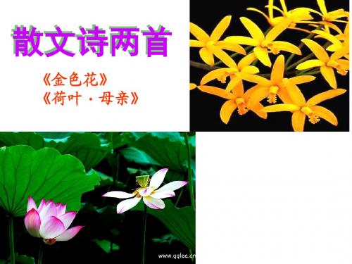 散文诗两首(2013新版人教版七年级语文上册)