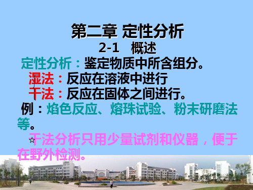 定性分析调PPT课件
