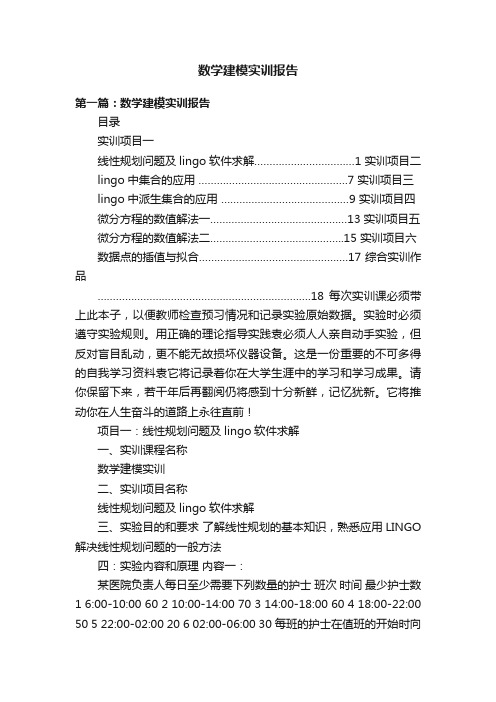 数学建模实训报告