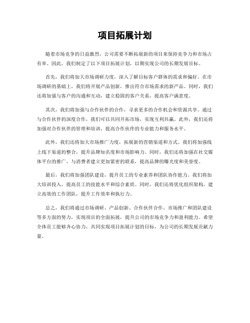 项目拓展计划
