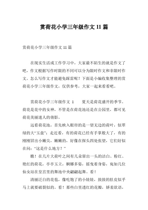 赏荷花小学三年级作文11篇