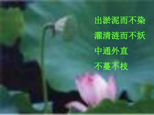 《荷塘月色》用