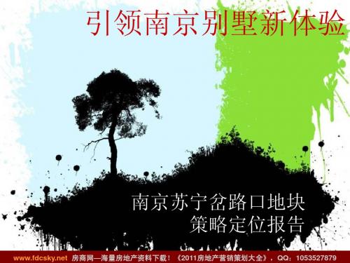 南京苏宁岔路口地块策略定位报告