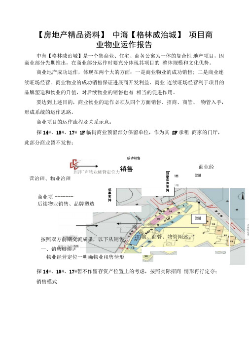 中海项目商业物业运作报告