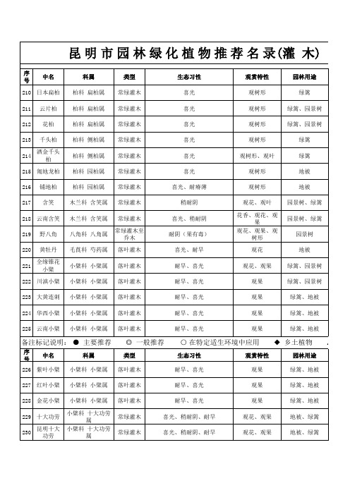 灌木
