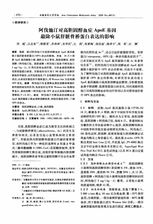 阿伐他汀对高胆固醇血症ApoE基因敲除小鼠肝脏骨桥蛋白表达的影响
