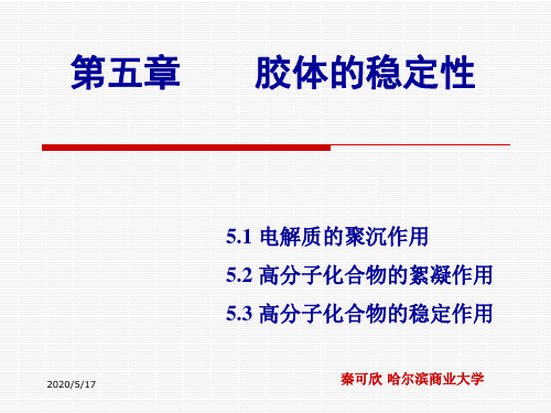 第五章 胶体的稳定性(精心制作)资料