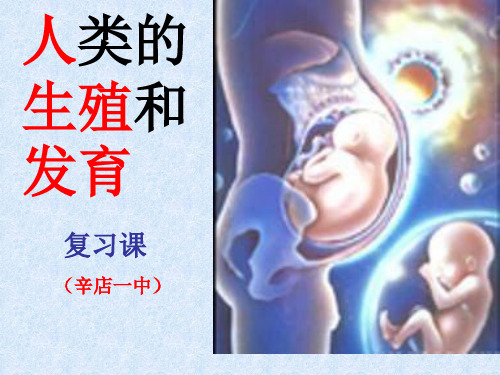 《人类的生殖和发育》ppt