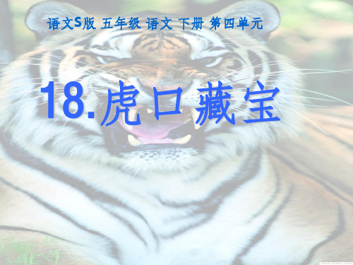 虎口藏宝ppt课件