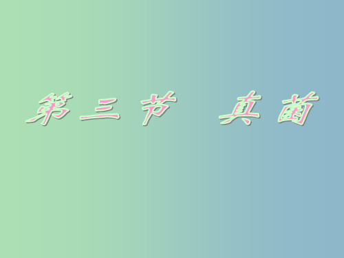 八年级生物上册 第5单元 第4章 第3节 真菌课件 (新版)新人教版