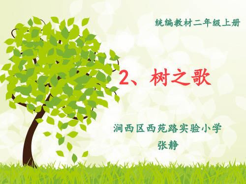 部编二年级上册语文《2树之歌》课件公开课(27)