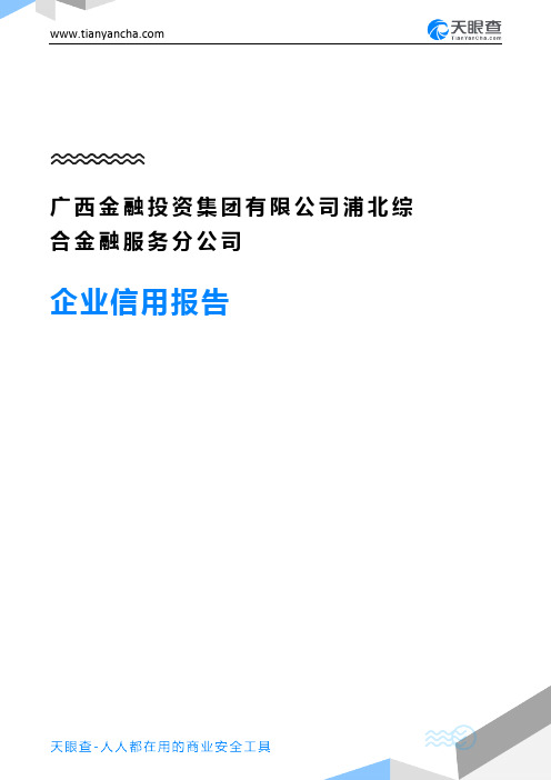 广西金融投资集团有限公司浦北综合金融服务分公司企业信用报告-天眼查