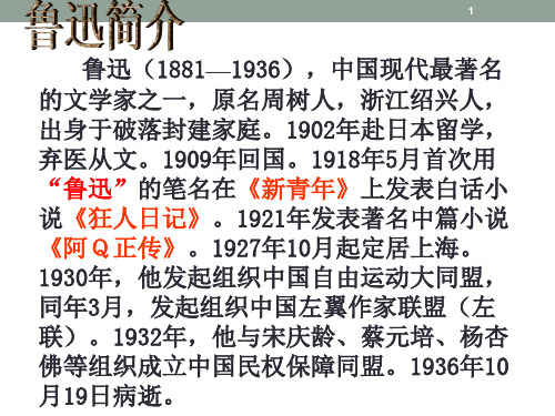 呐喊各篇人物及主题介绍ppt课件