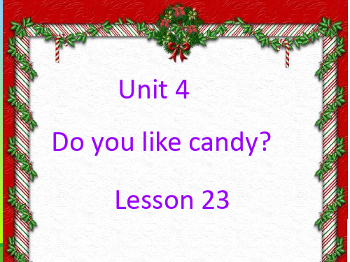 新人教精通版三年级英语下册 Unit 4 Do you like candy Lesson 23 课件3.ppt