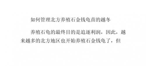 如何管理北方养殖石金钱龟苗的越冬_0