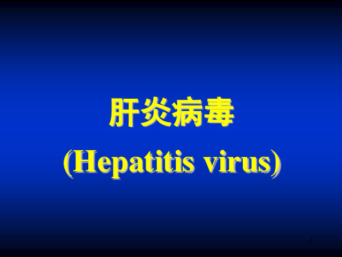 肝炎病毒介绍演示课件