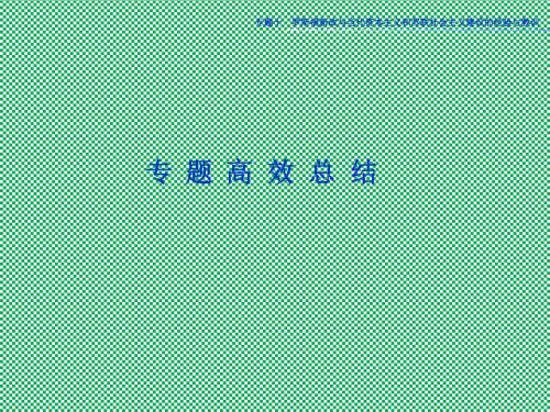 优化方案2013届高考历史一轮复习课件人民版专题十专题高效总结