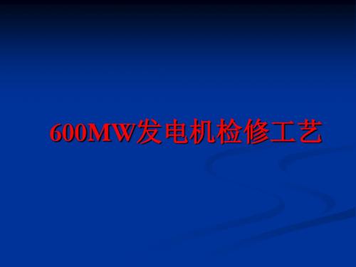 600MW发电机检修工艺