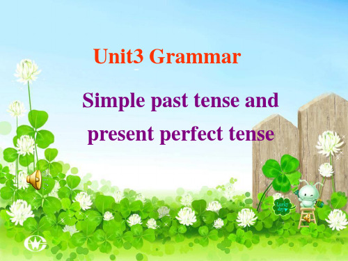 江苏省永丰初级中学英语牛津译林版八年级下册Unit3Grammar课件