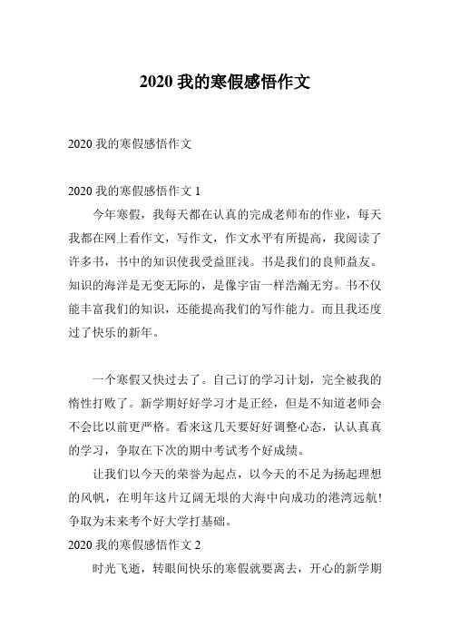 2020我的寒假感悟作文