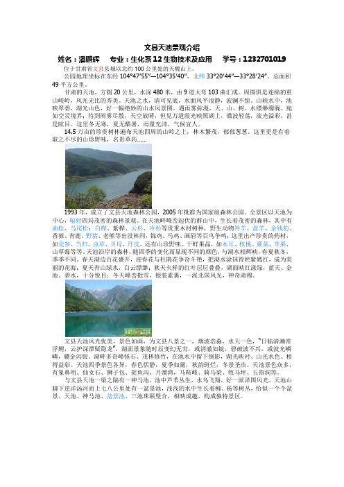 文县天池景观介绍