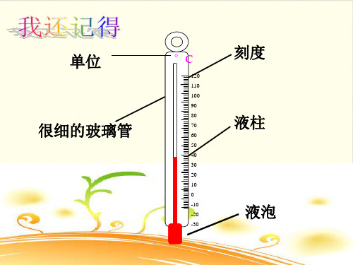 教科版《测量水的温度》精品教学课件1