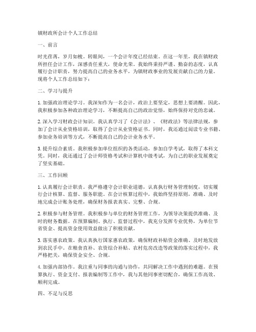 镇财政所会计个人工作总结
