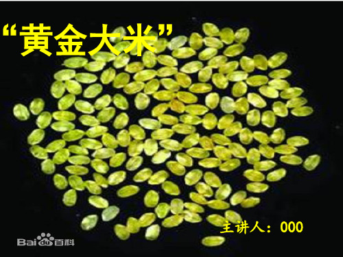 黄金大米