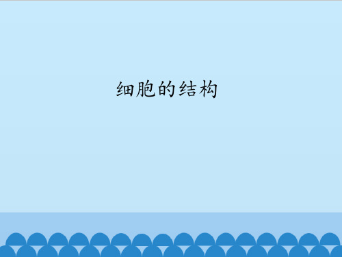 冀少版初中七年级上册生物：细胞的结构_课件1