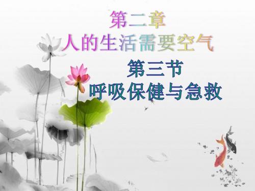 山东省菏泽市牡丹区2019年济南版生物七下第二章第三节呼吸保健与急救课件(PPT,17张)