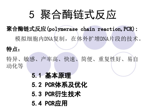 5 聚合酶链式反应