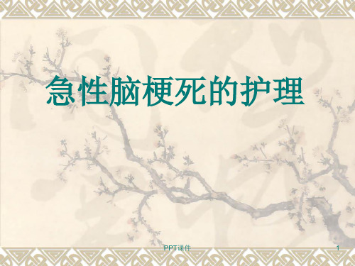 急性脑梗死的护理  ppt课件