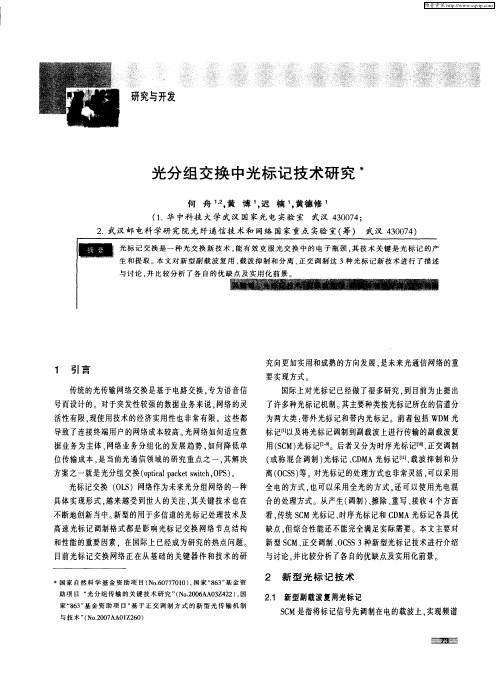 光分组交换中光标记技术研究