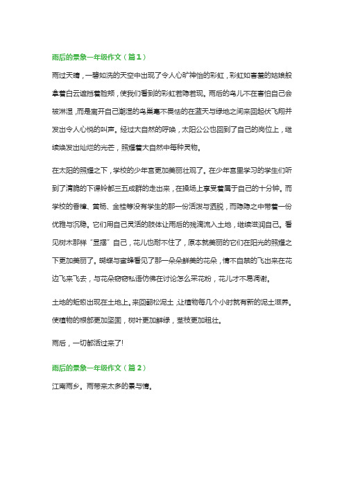 雨后的景象一年级作文(精选5篇)