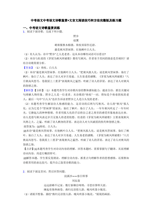 中考语文中考语文诗歌鉴赏+文言文阅读技巧和方法完整版及练习题