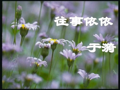 苏教版七年级语文上册ppt课件7课《往事依依》课件 (共54张PPT)