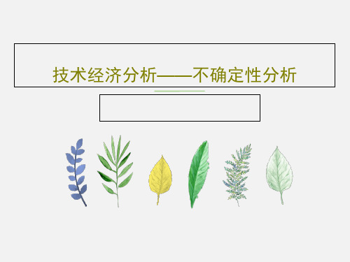 技术经济分析——不确定性分析PPT共24页