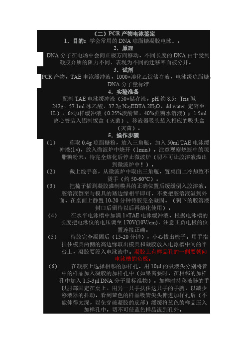 PCR电泳实验步骤