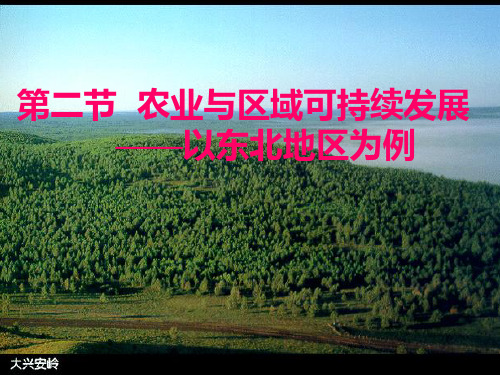 【地理】鲁教版必修3_第四单元_第二节_农业与区域可持续发展——以东北地区为例_(课件)概要