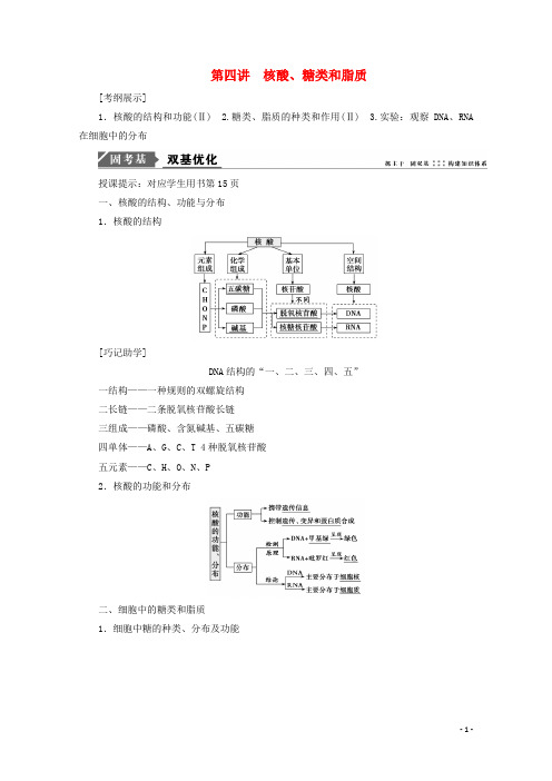 高考生物一轮复习第一单元细胞及其分子组成第四讲核酸、糖类和脂质学案新人教版