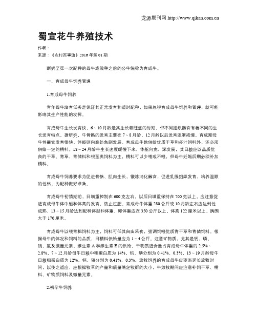 蜀宣花牛养殖技术