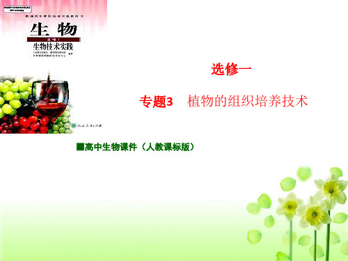 人教版高中生物选修1课件：专题3 植物的组织培养技术(选修一)