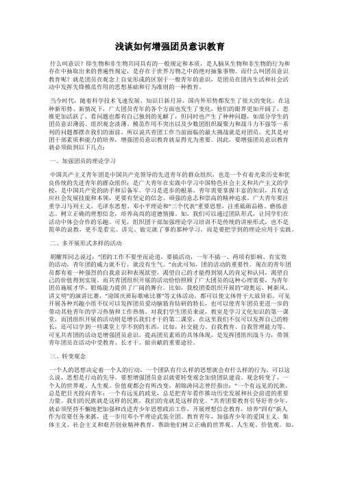 浅谈如何增强团员意识教育