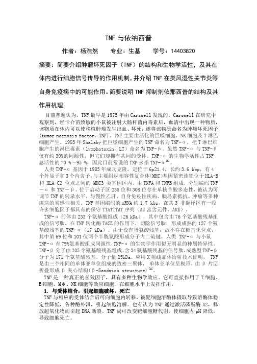 TNF与依纳西普
