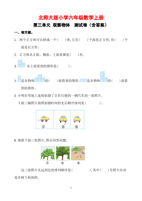 北师大版小学六年级数学上册第三单元测试卷(含答案)