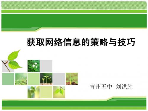 获取网络信息的策略与技巧